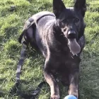 Business 2 image 168 SECURITY LTD Shopping & Retail in Hemel Hempstead He