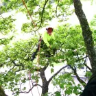 Business 3 image 3DEASY General Photographers in Wembley Mi