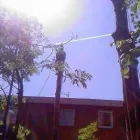 Business 2 image 3DEASY General Photographers in Wembley Mi