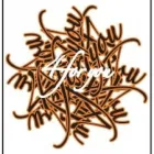 Business 1 image 4FORYOU - PROFESSIONAL MASSAGE THERAPISTS Spa Services in London Gr