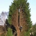 Business 5 image A & D TREES & FENCING Roofing Services in Dover Ke