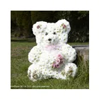 Business 2 image A J COLES FLOWERS Florists in Walsall We