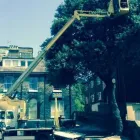 Business 3 image A.M. GROUND MAINTENANCE Tree Services in Norwich No