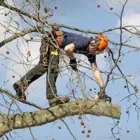 Business 4 image A.M. GROUND MAINTENANCE Tree Services in Norwich No