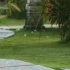 Business 3 image A MCMAHON BUILDERS LTD Remodeling Contractors in WISHAW La