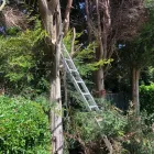 Business 1 image A&T TREE REMOVAL Tree Services in Birmingham We