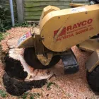 Business 3 image A&T TREE REMOVAL Tree Services in Birmingham We