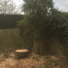 Business 4 image A&T TREE REMOVAL Tree Services in Birmingham We