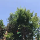 Business 8 image A&T TREE REMOVAL Tree Services in Birmingham We