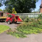 Business 11 image A&T TREE REMOVAL Tree Services in Birmingham We