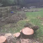 Business 18 image A&T TREE REMOVAL Tree Services in Birmingham We