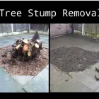 Business 19 image A&T TREE REMOVAL Tree Services in Birmingham We