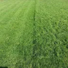 Business 1 image A1 MADE KLEEN OF PURLEY Domestic Cleaning in Croydon Su
