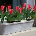 Business 1 image ABBEYFIELD HOUSE Residential, Retirement & Care Homes in Glasgow La