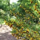 Business 2 image ABBEYFIELD HOUSE Residential, Retirement & Care Homes in Glasgow La