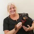 Business 3 image ABERCORN VETS, PORTOBELLO HIGH STREET Veterinary Services in Edinburgh Edh