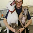 Business 2 image ABERCORN VETS, RAEBURN PLACE Veterinary Services in Edinburgh Edh