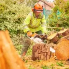 Business 33 image ABLE TREES AND LANDSCAPES BRISTOL Tree Services in Bristol Gl