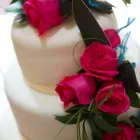 Business 3 image ABZ THE HAIRDRESSER Mobile Hairdressers in Farnborough Ha