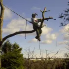 Business 6 image ACORN TREE CARE Tree Work in Huddersfield We