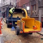 Business 1 image ADVANCED ARB SERVICES LTD Tree Work in Uxbridge Mi