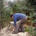 Business 5 image ADVANCED ARB SERVICES LTD Tree Work in Uxbridge Mi