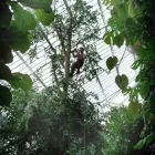 Business 7 image ADVANCED ARB SERVICES LTD Tree Work in Uxbridge Mi