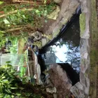 Business 1 image ADVISORY AQUATIC CENTRE LTD Aquarium & Pond Supplies in Stockport Ch