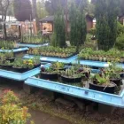 Business 2 image ADVISORY AQUATIC CENTRE LTD Aquarium & Pond Supplies in Stockport Ch