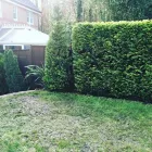 Business 4 image AJ'S TREE FELLAS Trees & Shrubs in CHRISTCHURCH Do