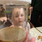 Business 17 image AMBERLEY HALL DAY NURSERY Preschools in Bristol Br