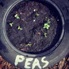 Business 19 image AMBERLEY HALL DAY NURSERY Preschools in Bristol Br