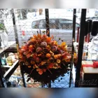 Business 1 image AMBIENCEDECOJM Shopping & Retail in Bromley Ke