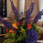 Business 5 image AMBIENCEDECOJM Shopping & Retail in Bromley Ke