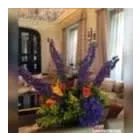 Business 16 image AMBIENCEDECOJM Shopping & Retail in Bromley Ke