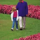 Business 1 image AMERICAN EXPRESS FINANCIAL SERVICES Bureaux De Change & Foreign Exchange in Leicester Le