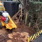 Business 4 image ANDREW'S ARBORICULTURE Trees & Shrubs in Norwich No