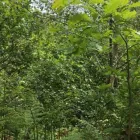 Business 2 image ANDY FOSTERJOHN CAREERS WORKS Temporary Employment Agencies in Pontypridd Mi