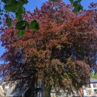 Business 3 image ANDY FOSTERJOHN CAREERS WORKS Temporary Employment Agencies in Pontypridd Mi