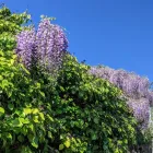 Business 5 image ANDY FOSTERJOHN CAREERS WORKS Temporary Employment Agencies in Pontypridd Mi