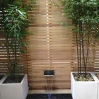 Business 6 image AQUASCAPES LTD Shopping & Retail in Crawley We