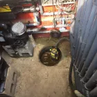 Business 29 image AQUASCAPES LTD Shopping & Retail in Crawley We