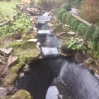 Business 39 image AQUASCAPES LTD Shopping & Retail in Crawley We