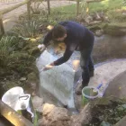 Business 41 image AQUASCAPES LTD Shopping & Retail in Crawley We