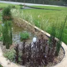 Business 42 image AQUASCAPES LTD Shopping & Retail in Crawley We