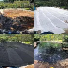 Business 57 image AQUASCAPES LTD Shopping & Retail in Crawley We