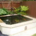 Business 89 image AQUASCAPES LTD Shopping & Retail in Crawley We