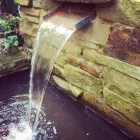 Business 90 image AQUASCAPES LTD Shopping & Retail in Crawley We