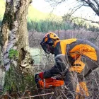 Business 4 image ARBORIST DIRECT GLASGOW Tree Services in Glasgow Glg