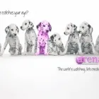 Business 1 image ARENA DM Web Developers in Middleton La